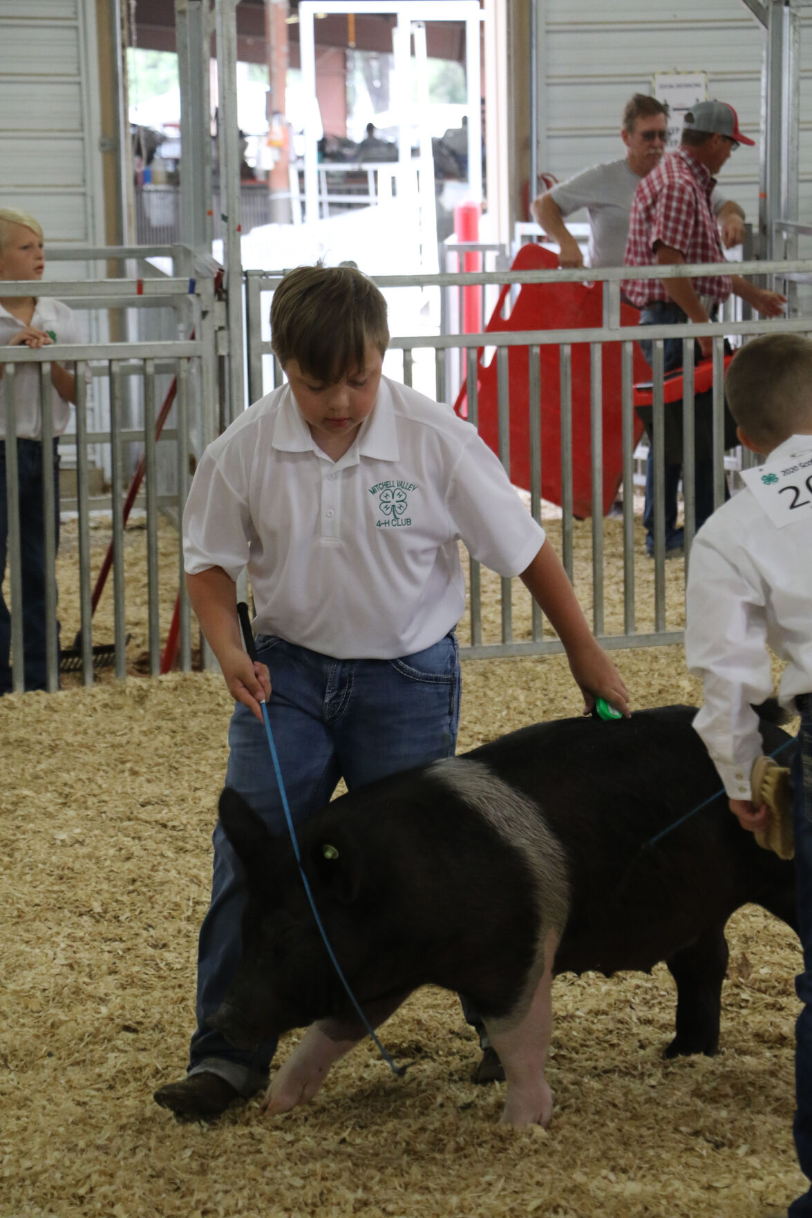 PHOTOS: Pig Showmanship